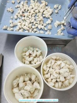 Frozen Swimming Crab Meat production process in Vietnam