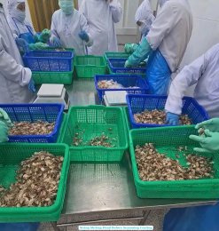 Tempura Shrimp Heads Production in Vietnam Seafood Factory