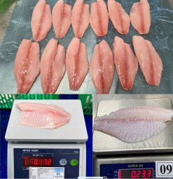 Vietnam Frozen Tilapia Fillet Deep Skinned before and after IQF freezing