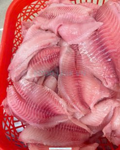 Vietnam Frozen Tilapia Fillet Shallow Skinned after filleting process