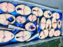 Vietnam Frozen Wahoo Steak freshly cut portions