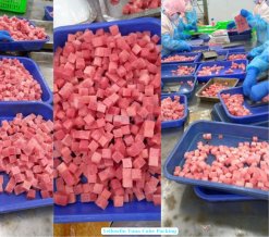 Vietnam Frozen Yellowfin Tuna Cube Being Cut by Skilled Worker