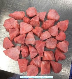 Vietnam Frozen Yellowfin Tuna Portion After Freezing
