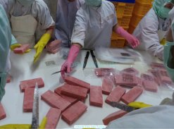 Vietnam Frozen Yellowfin Tuna Saku Production in Seafood Factory