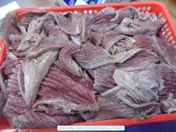 Vietnam Frozen Yellowfin Tuna Stomach Before Freezing Process