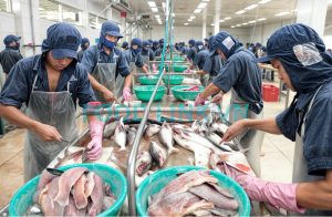 Workers processing pangasius under quality monitoring in Vietnam