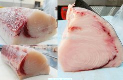 Vietnam Frozen Swordfish Loin And Chunk freshly cut for export