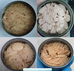 Canned Tuna filled into cans in Vietnam factory