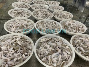 Cut octopus inspected during seafood processing in Vietnam