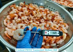 Frozen Cooked PDTO Vannamei Shrimp Before IQF Freezing – Vietnam