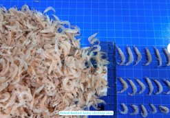 Dried Baby Shrimp size inspection in Vietnam