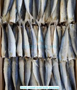 Dried Boiled Round Scad after drying process in Vietnam