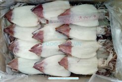 Dried Loligo Squid skinless packed for export from Vietnam