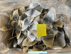 Dried Moon Fish bulk packing in Vietnam for export