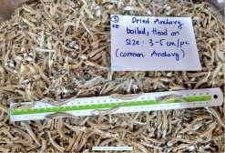Dried White Anchovy size inspection in Vietnam