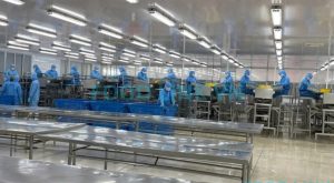 Evaluation of factory worker skills for quality control services