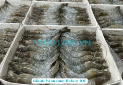 Small Carton packaging of Frozen Raw Hoso Body Peel Vannamei Shrimp - Bikini Style in Vietnam