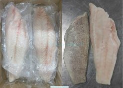 Vietnam Frozen Black Grouper And Red Grouper Fillet After IQF In Plastic Bag