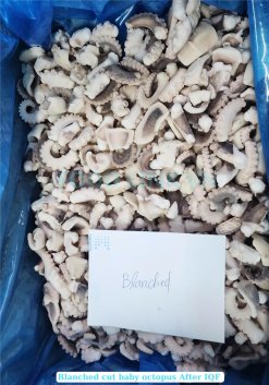 Vietnam Frozen Boiled Baby Octopus Cut After IQF Freezing