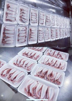 Frozen Boiled Octopus Tentacles Open Cut Sushi After IQF Processing in Vietnam
