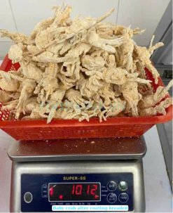 Vietnam Frozen Breaded Baby Crab being weighed for net weight control