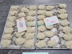 Vietnam Frozen Breaded Butterfly And PDTO Shrimp Before IQF Freezing