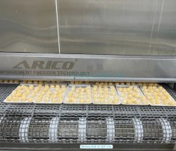 Frozen Breaded Shrimp Ball on IQF Line in Vietnam
