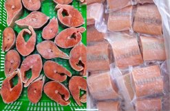 Frozen Chum Salmon steak cuts processed in Vietnam