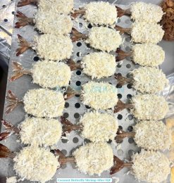 Frozen Coconut Butterfly And PDTO Shrimp Before IQF Process in Vietnam
