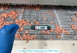 Frozen Cooked Pd Vannamei Shrimp on IQF Conveyor in Vietnam