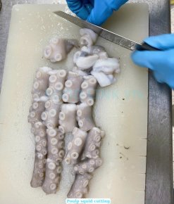 Vietnam Frozen Cut Poulp Squid Block (Mada Cut) Cutting Process