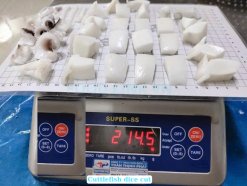 Vietnam Frozen Cuttlefish Dice Cut Product Inspection Before Packing
