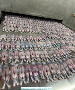 Frozen Frog Legs Classic Style on IQF line in Vietnam