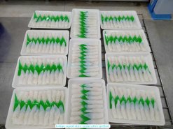 Vietnam Frozen Grilled Loligo Squid Fillet Slice Sushi Ready for IQF Freezing