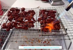 Vietnam Frozen Grill Seasoned Cut Octopus Being Grilled