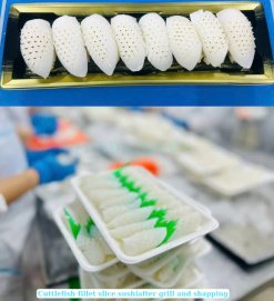 Vietnam Frozen Grilled Cuttlefish Fillet Sushi before IQF freezing process