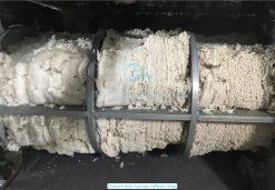 Refining stage of Vietnam Frozen Itoyori Mix Surimi production