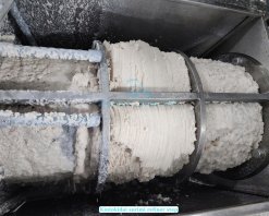 Frozen Kintokidai Surimi refining process in Vietnam