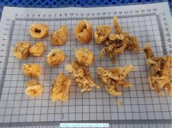 Vietnam Frozen Loligo Squid Ring Karaage Cooked and Fried