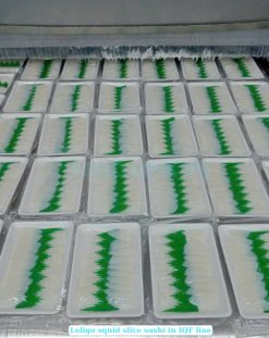 Vietnam Frozen Loligo Squid Fillet Slice Sushi IQF Conveyor Line – Step 2