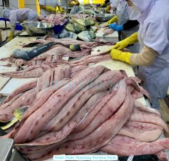 Vietnam Frozen Mahi Mahi Portion Skinless Filleting Process