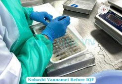 Processing Frozen Nobashi Vannamei Shrimp by Skilled Workers in Vietnam