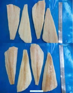 Frozen Atlantic And Pacific Cod fillets produced in Vietnam