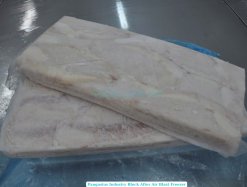 Frozen Pangasius Fillet Industrial Block (Swai Fish) After Freezing Process in Vietnam