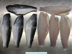 Frozen Pangasius Fillet Skin On Pre-IQF in Vietnam Factory