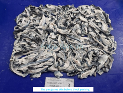 Vietnam Frozen Pangasius Skin Before IQF Freezing – Sample 2