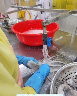 Vietnam Frozen Whole Clean Poulp Squid Long Leg Processing