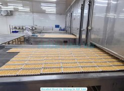 Frozen Breaded Head On Shrimp on IQF Line in Vietnam Plant