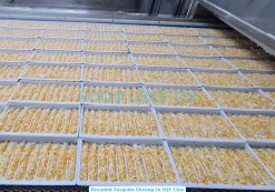 Frozen Breaded Torpedo Shrimp on IQF Line in Vietnam