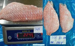 Vietnam Frozen Red Snapper Fillet quality inspection before packing